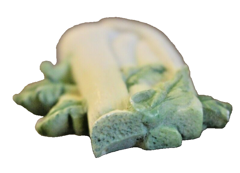 Celery stalk vintage refrigerator magnet