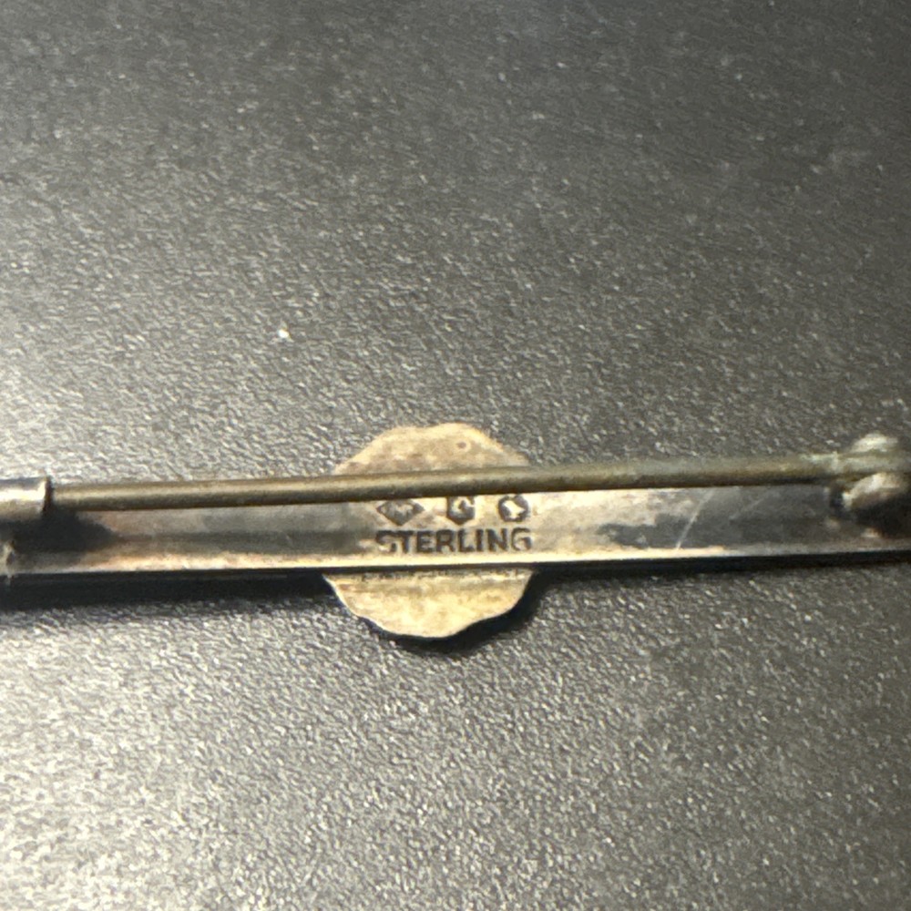 Vintage Yellowstone Sterling Silver Pin