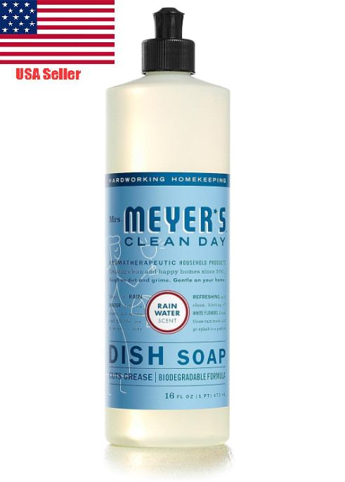 Liquid Dish Soap, Rain Water, 16 fl. oz