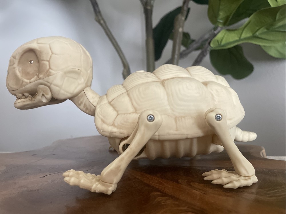 Pac Halloween Animated Turtle Skeleton Eyes light up & Crawling