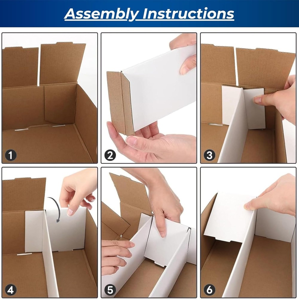 Baseball Card Storage Box - 4 Row Organizer - Protective Lid