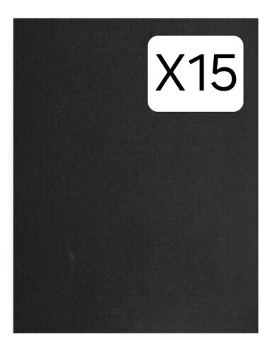 (15 Pack) Activated Carbon Filter Replacement for Winix Purifier 115115 Size 21