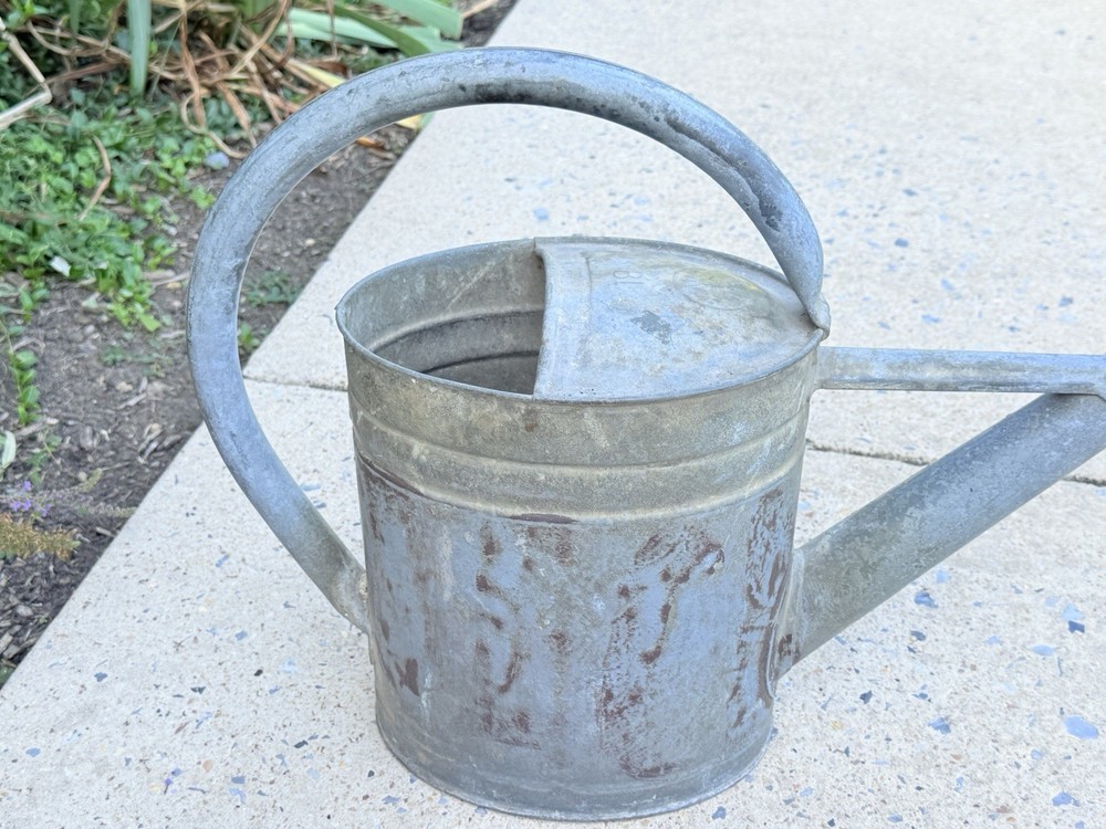 RARE Antique GERMAN BAT GALVANIZED Watering Can