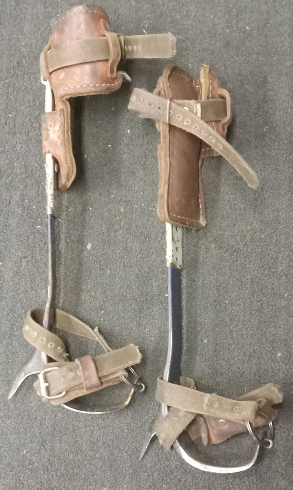 arborist tree climbing spikes-with Pads/straps