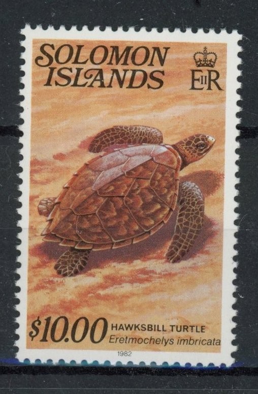 Solomon Isl 1982 : Turtle - Good Very Fine MNH Stamp