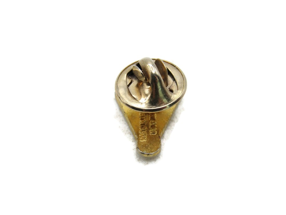 NSBA Lettered Pin Blue White & Gold Tone