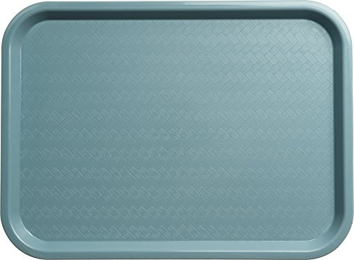 Cafe Plastic Fast Food Tray2" x6" 1 Slate