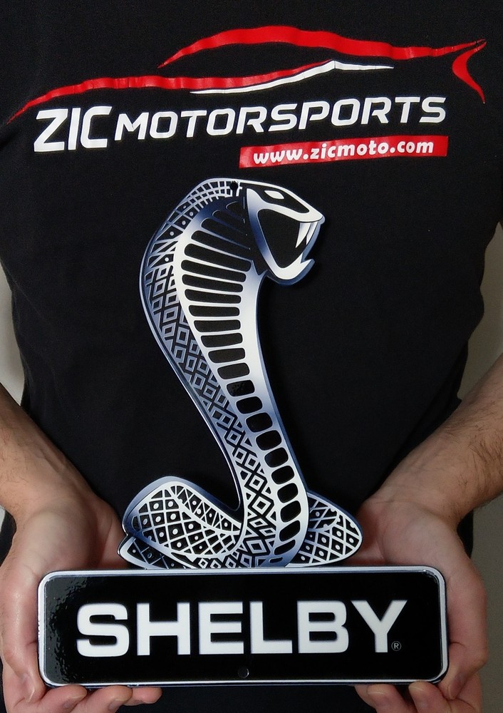 Shelby Snake Sign - Black Base- 12" x 9.5"