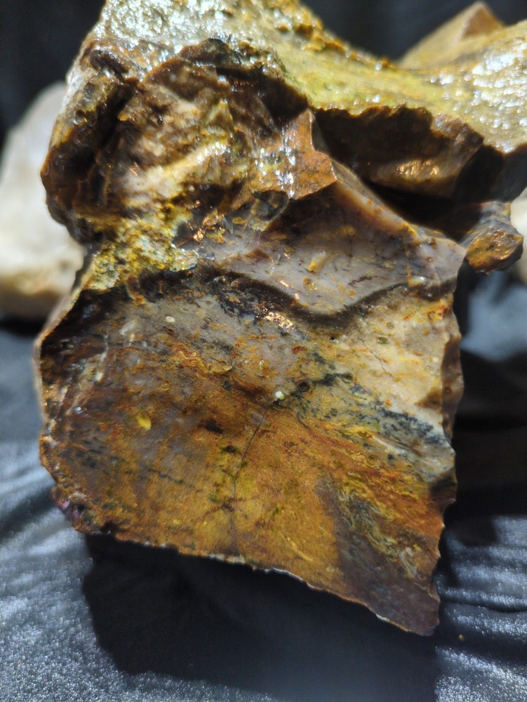 Biggs Jasper Specimen w/ Dendric Natural Form (7lbs 12oz)