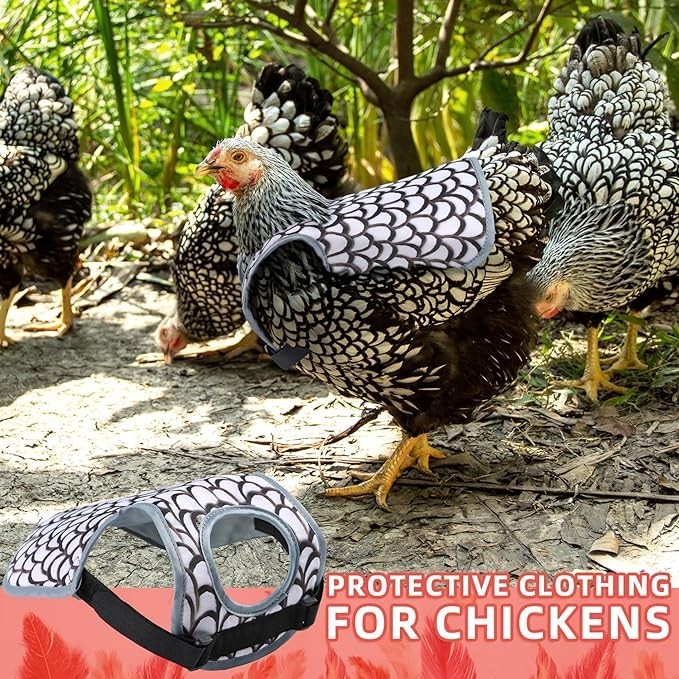 Chicken Saddles for hens, Apron Back Protector Hens With White
