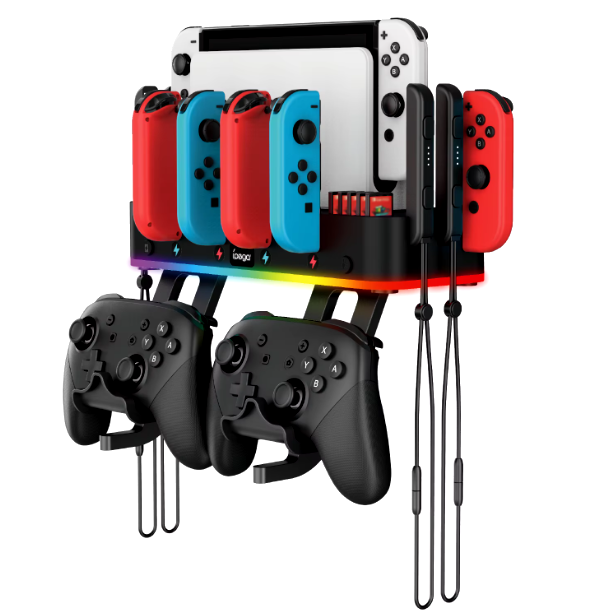 Nintendo Switch RGB Holder Wall Mount Joy-Con Charger OLED Organizer Console Doc