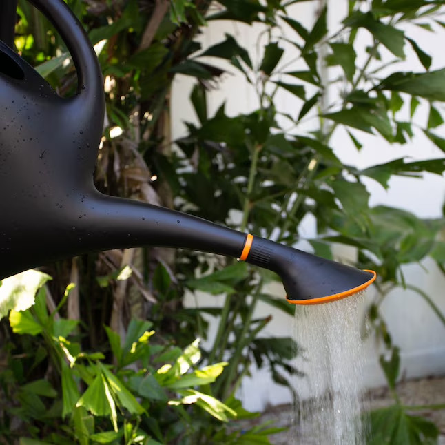 Bloem 2.6-Gallon Black Plastic Classic Watering Can
