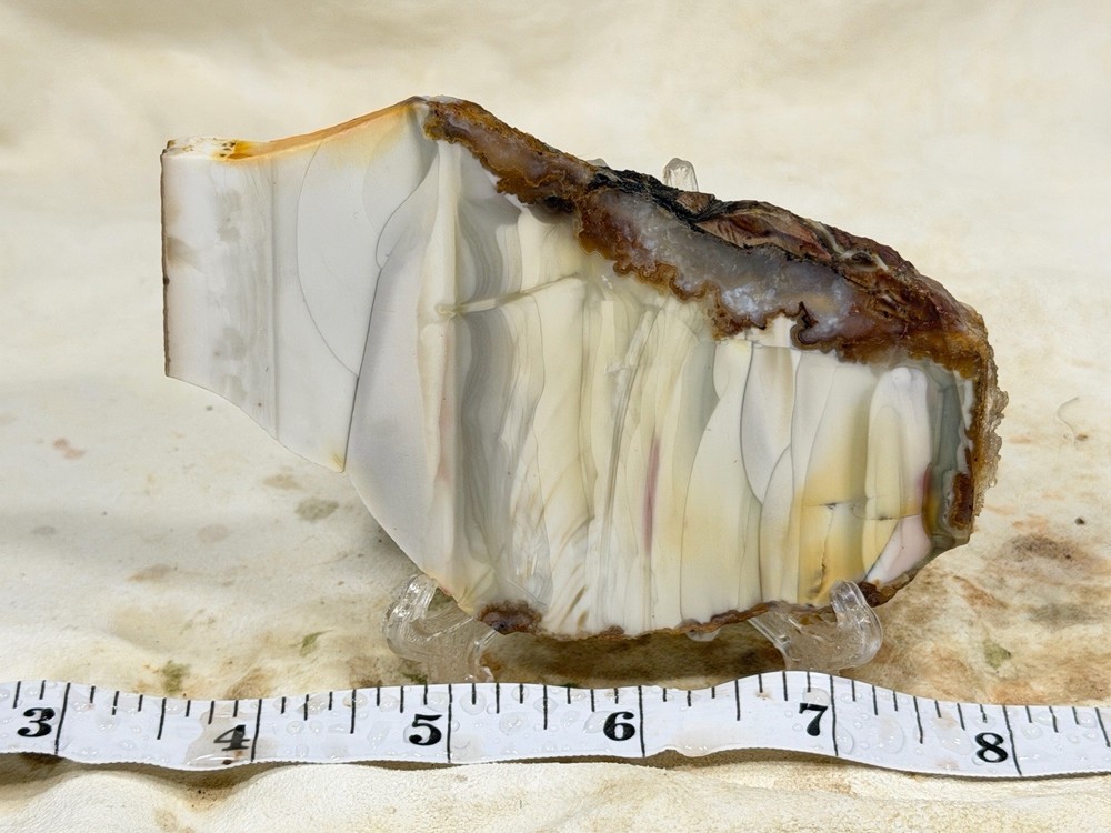 Willow Creek Jasper Slab, Lot#359