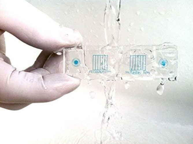 4 McMaster Method Microscope Slides, by , Fecal/Worm Egg Count for Parasites ...