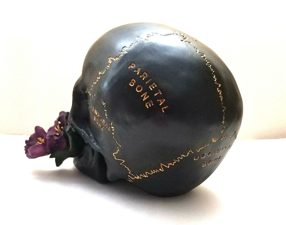 Skull with Rose Figurine Statue Skeleton Halloween