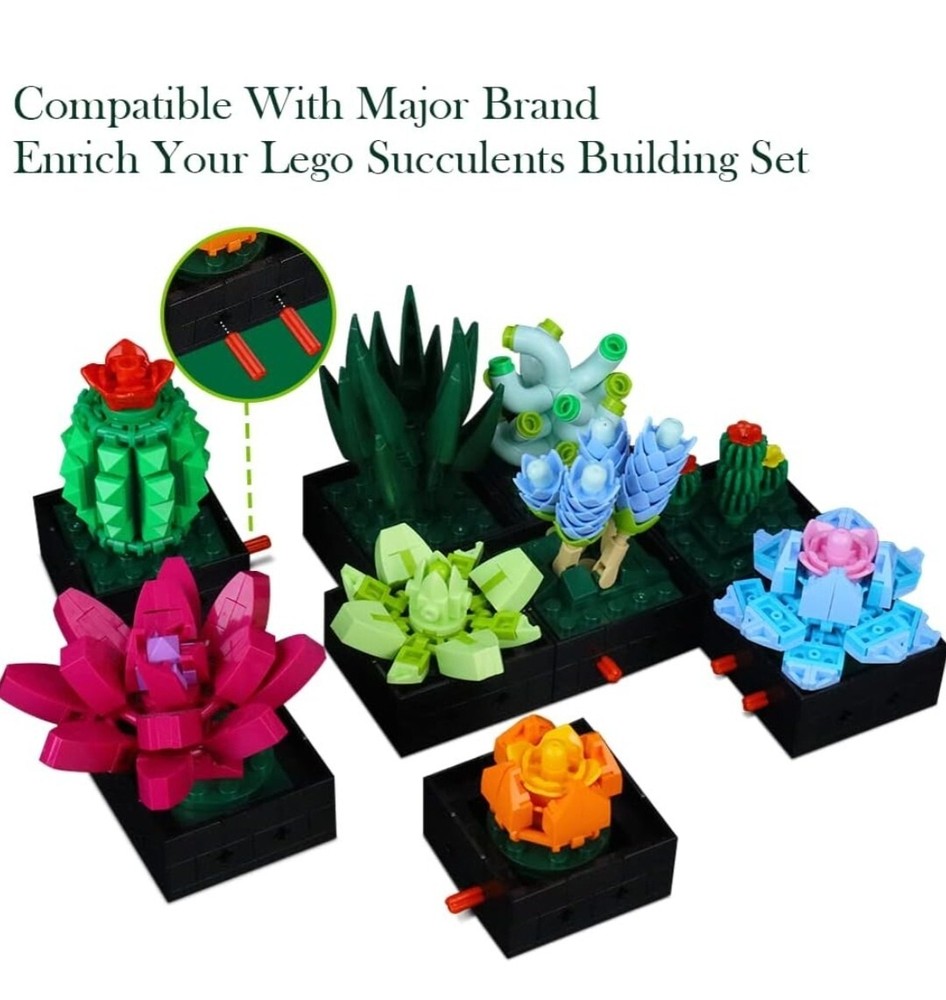 Succulent Bonsai Building Kit,