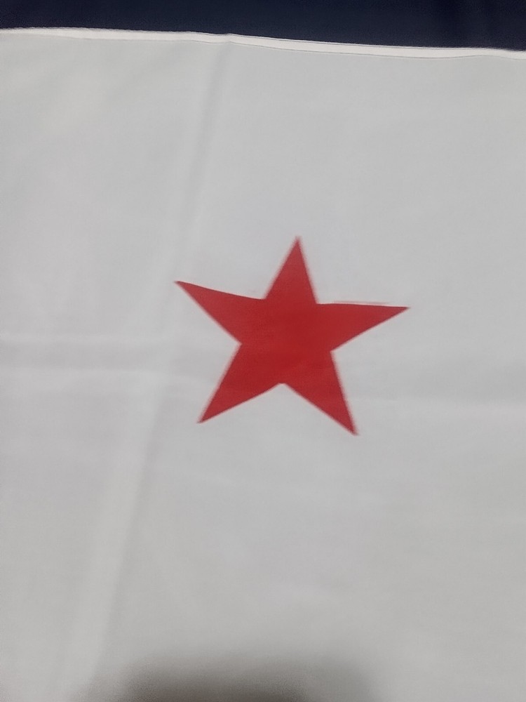 California State Flag