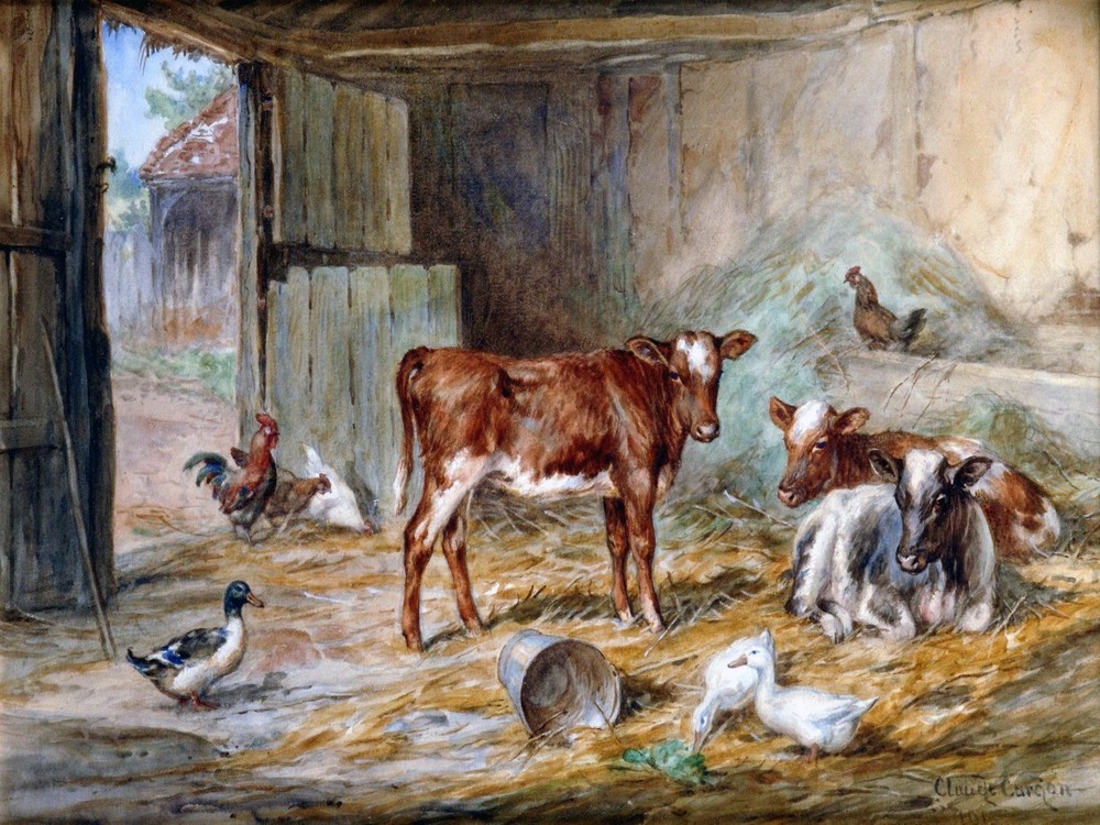 Cattle and Ducks Accent Tile Mural Kitchen Bathroom Wall Backsplash 8x6