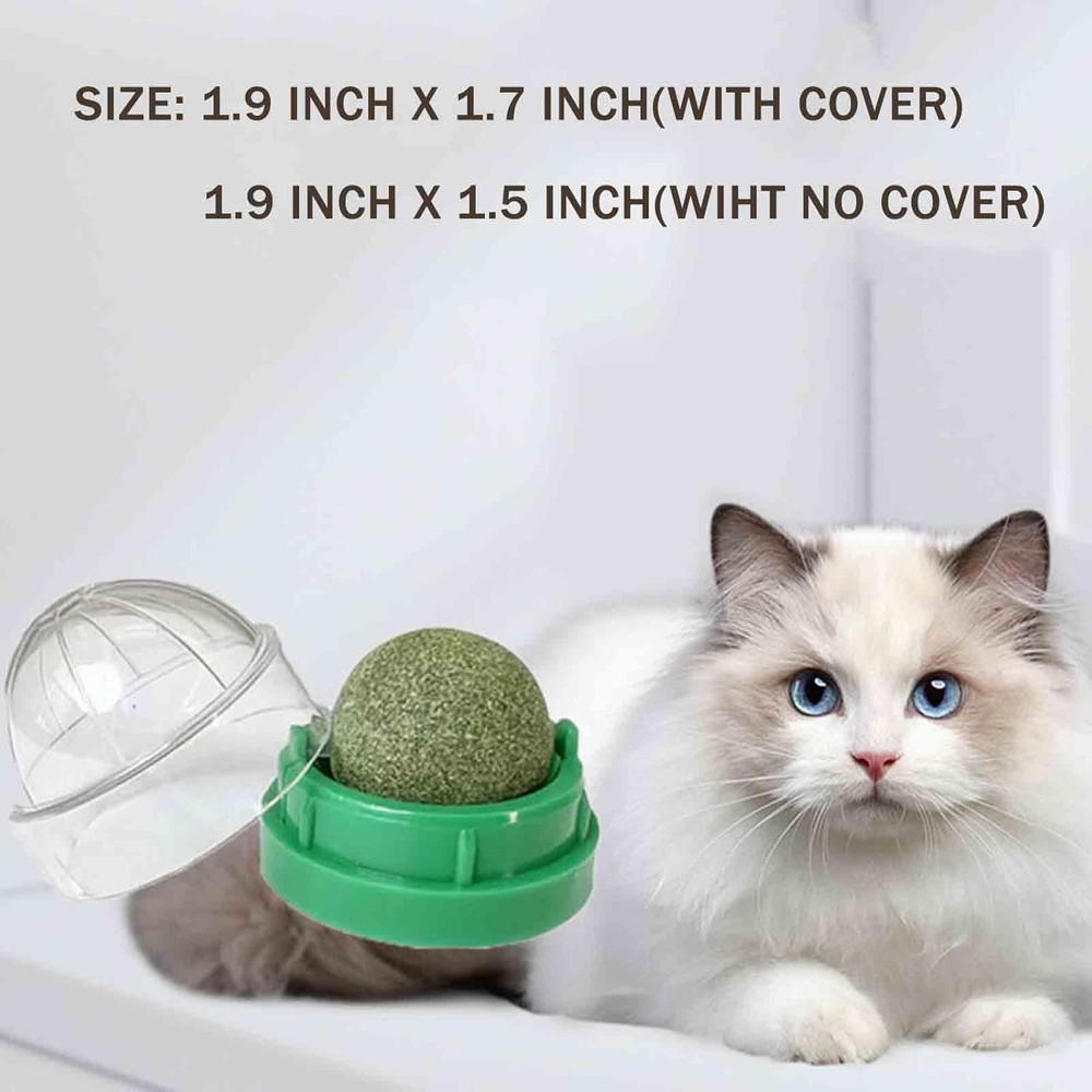 6 PCS Catnip Balls