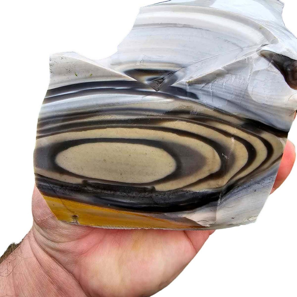 RARE Polish Flint Orbicular Rough Chunk!