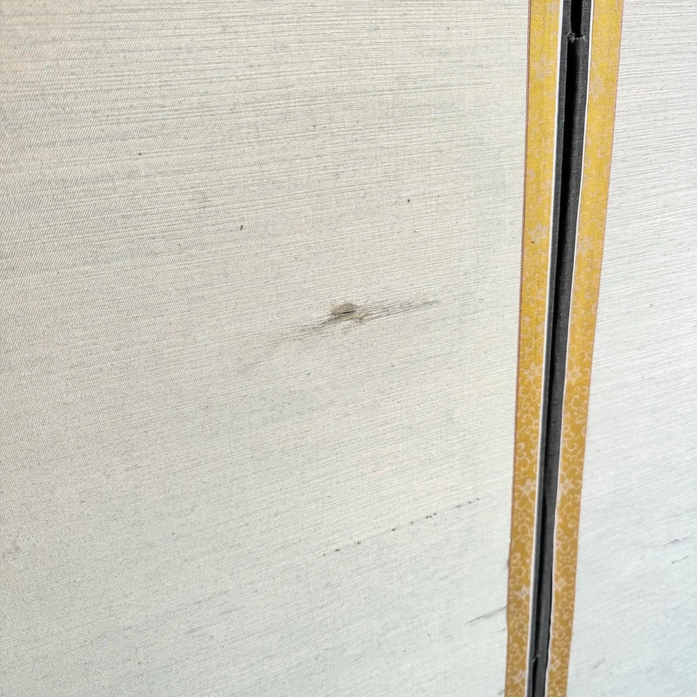 Vintage Chinese 6 Panel Screen/Room Divider