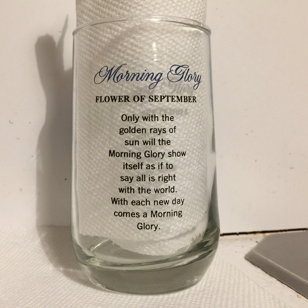 Morning Glory September Drinking Glass Tumbler