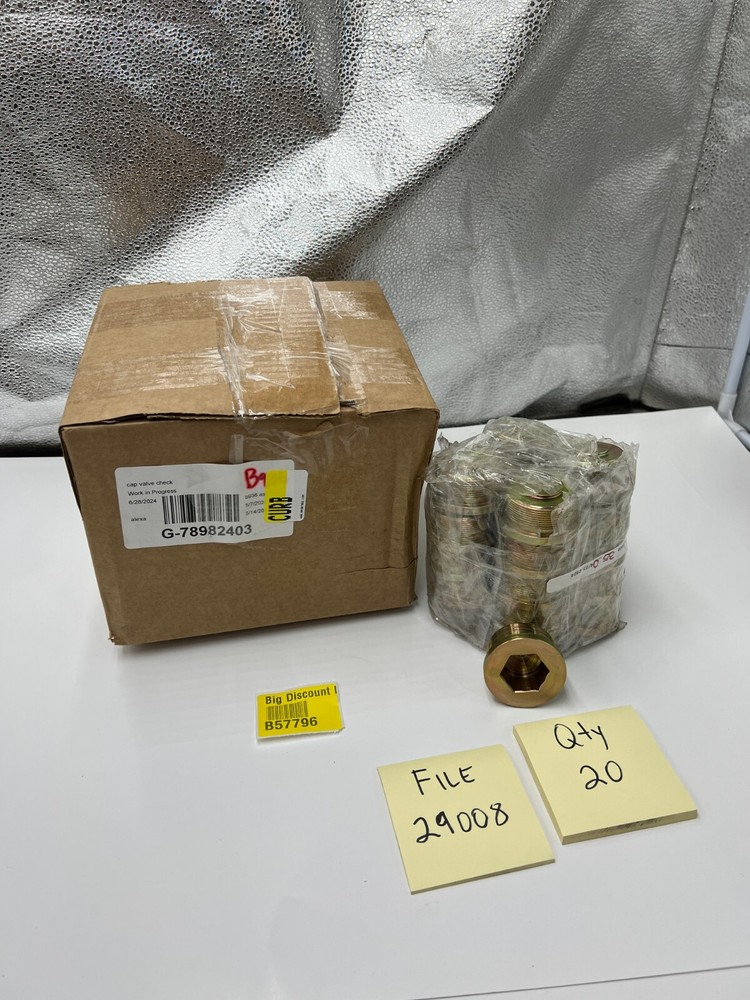 Pack of 20 Check Valve Cap Threaded Heavy Duty