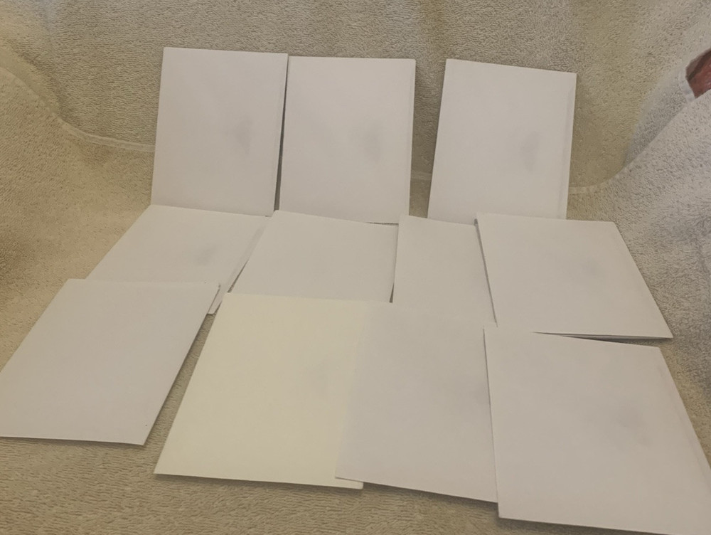 23 Pc Assorted ANIMALS BLANK NOTE CARDS & ENVELOPES Lot #9 - NEW