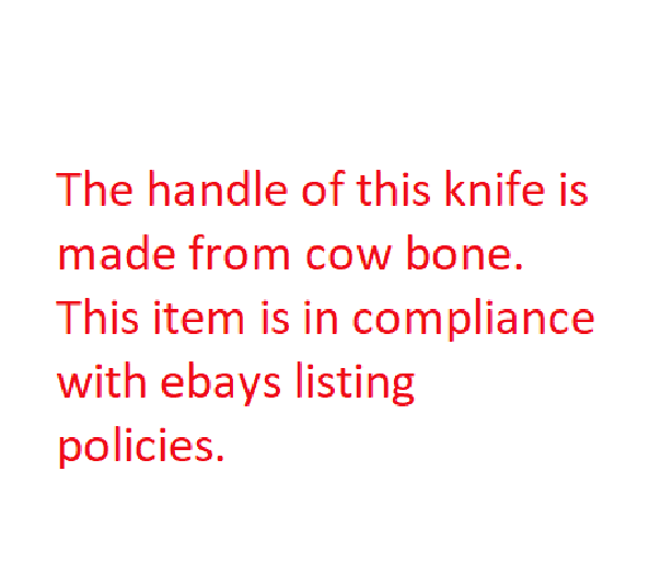 Rite Edge Eagle Fixed Knife 4 Stainless Steel Blade Natural Smooth Bone Handle