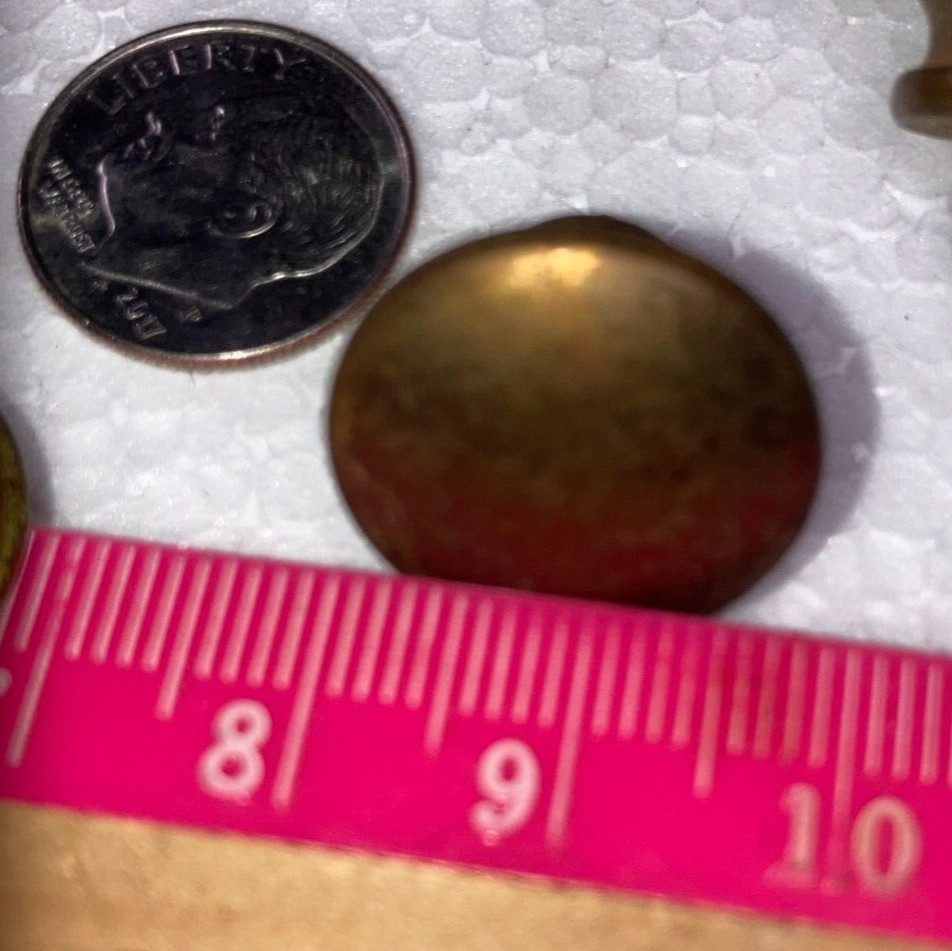 8 Antique Solid Brass Shell Drawer Door Pull Knob Handle Cupboard Screw 2 cm