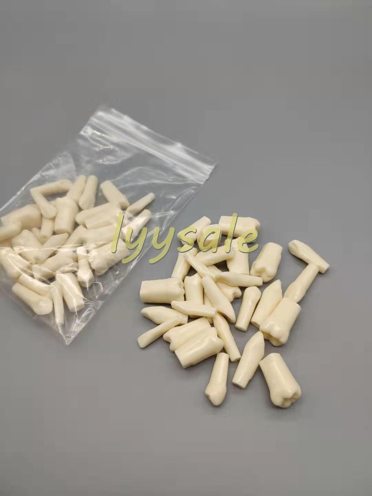 Dental Artificial Resin Teeth Full Mouth Replacement Typodont Model
