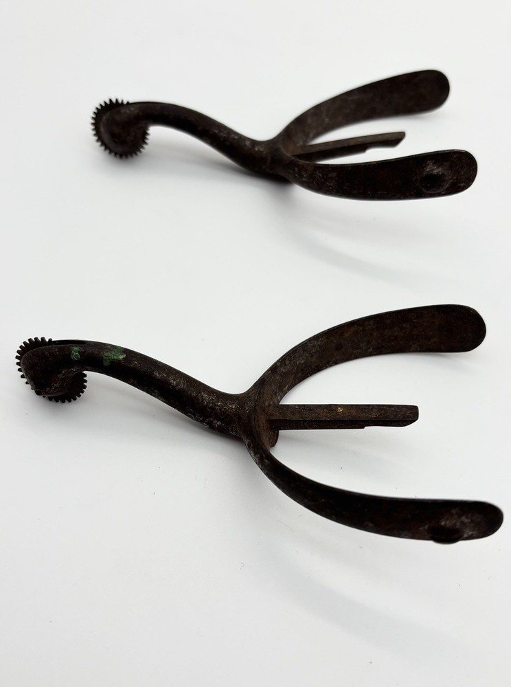 Swan Neck Spurs