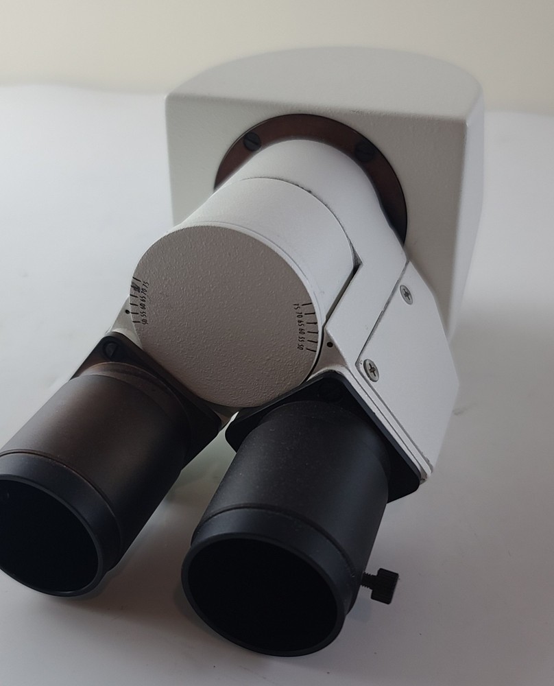 Binocular Microscope Head For Labomed Microscope