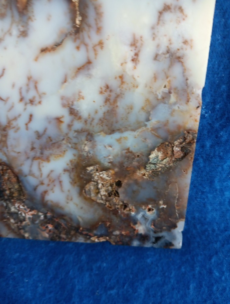 Graveyard Point Plume Agate rock slab lapidary cabbing 4x6