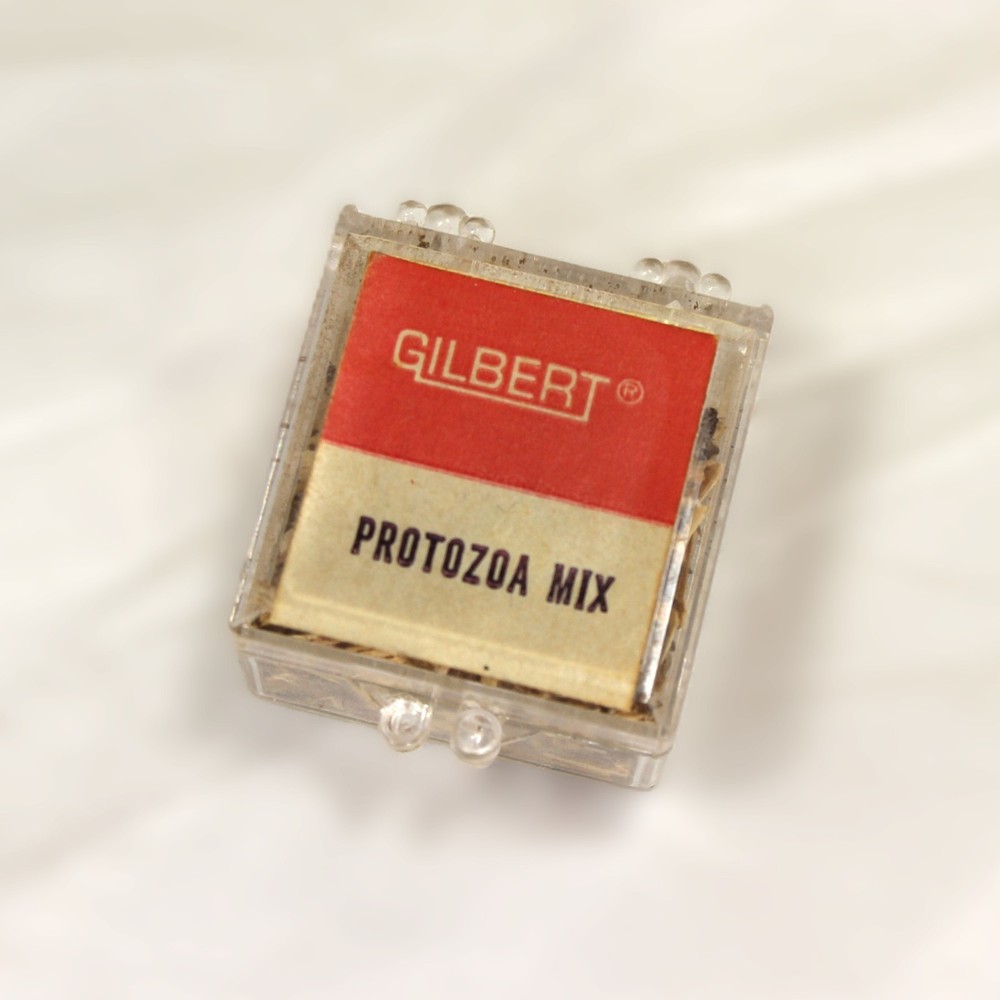 Vintage Gilbert Microcraft Student Microscope Orig Box Booklets Works Great