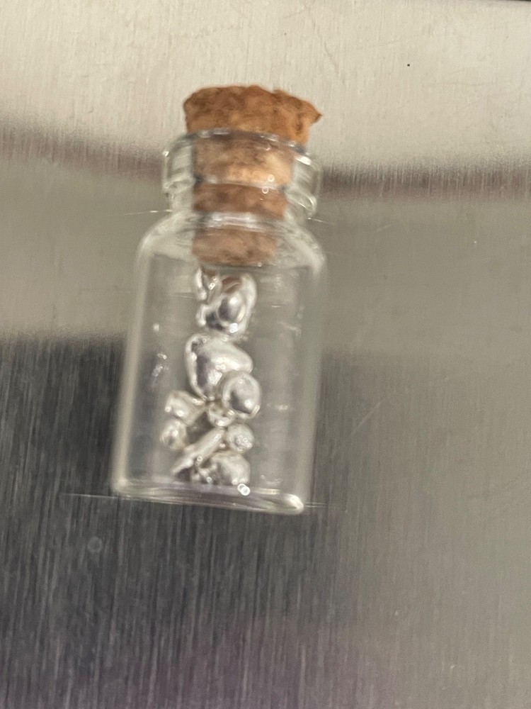 1 GRAM OF .9999 FINE SILVER SHOT