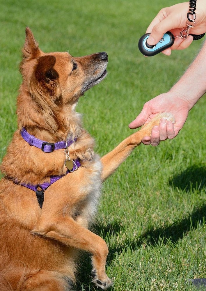 5 Pack Pet Training Clickers with Wrist Strap Dog Obedience Trainer Tool Set