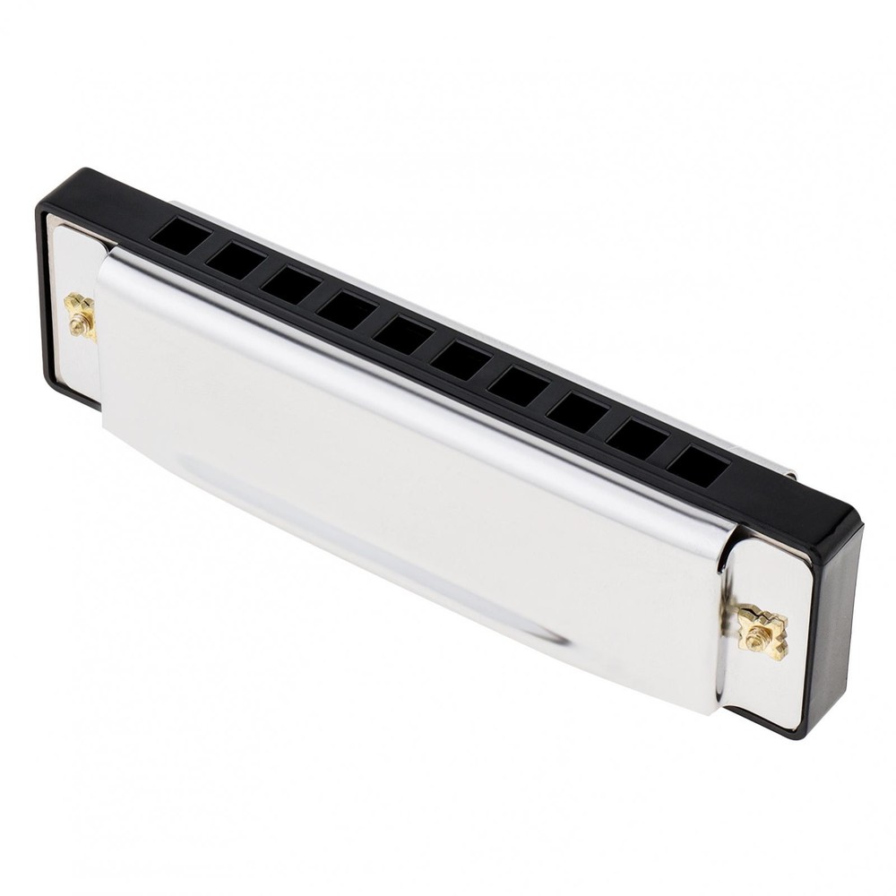 Harmonica Mouth Organ 10 Hole C Key with Case, Diatonic Harmonica Beginner Gift