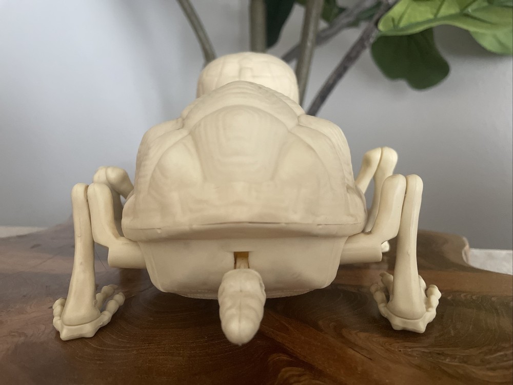 Pac Halloween Animated Turtle Skeleton Eyes light up & Crawling