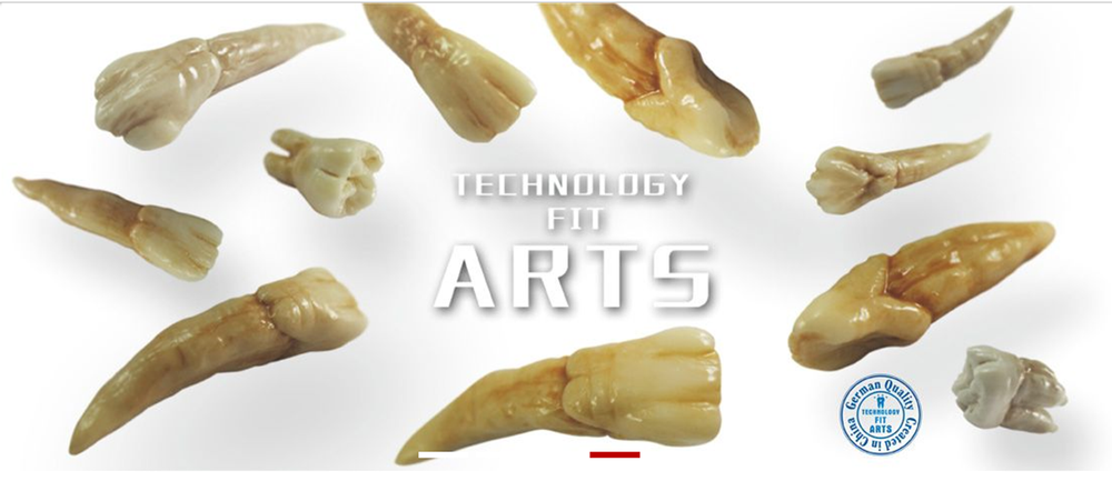 Dental Zirconia Ceramic Blocks/Discs for Open system Milling Machine Make Crowns