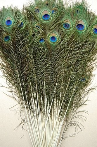50 Pcs Peacock Feathers 25"-30"