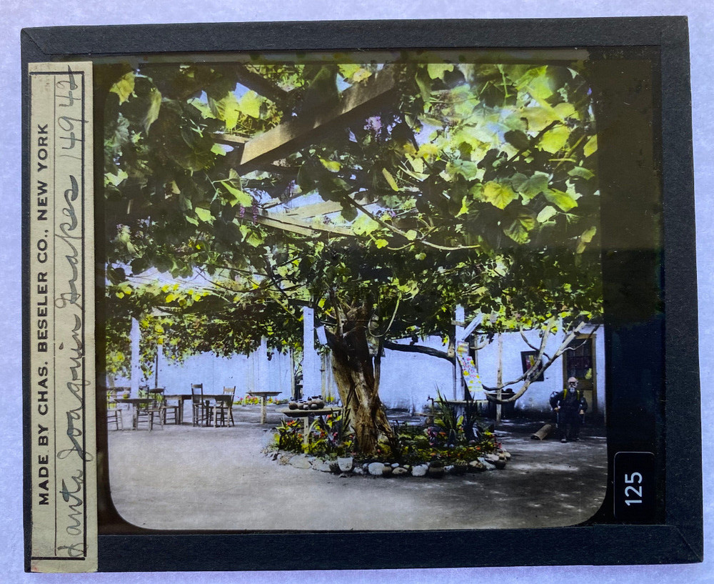 COLORED MAGIC LANTERN SLIDE SAN JOAQUIN GRAPES CALIFORNIA 1900s