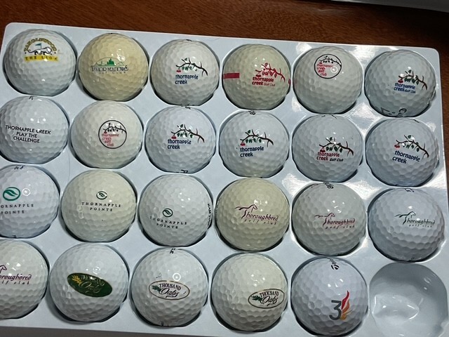 MICHIGAN T GOLF COURSE: LOGO BALLS
