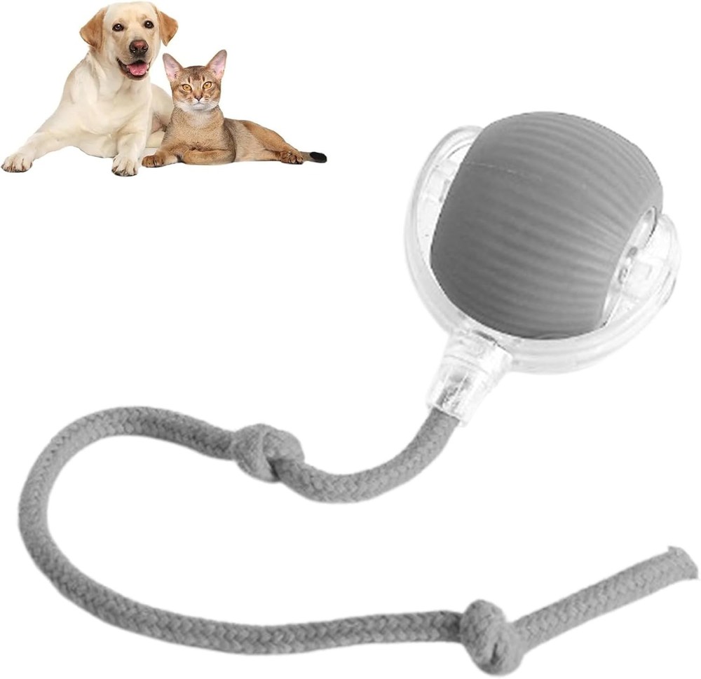rolling ball for dogs
