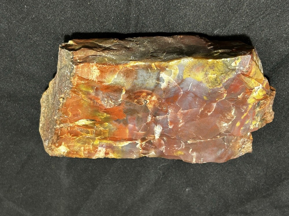 Arizona Rainbow Petrified Wood