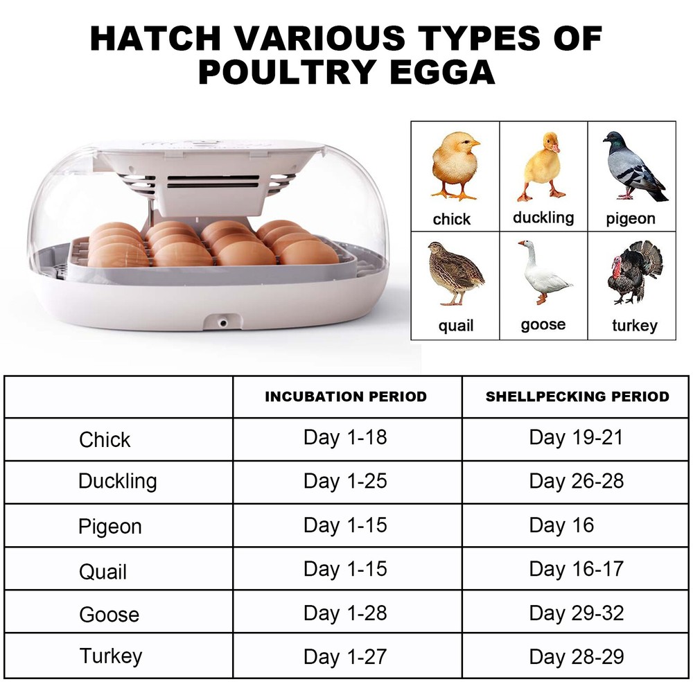 16 Eggs Incubator Automatic Hatch Chicken Duck Egg Turner with Auto Adding Water