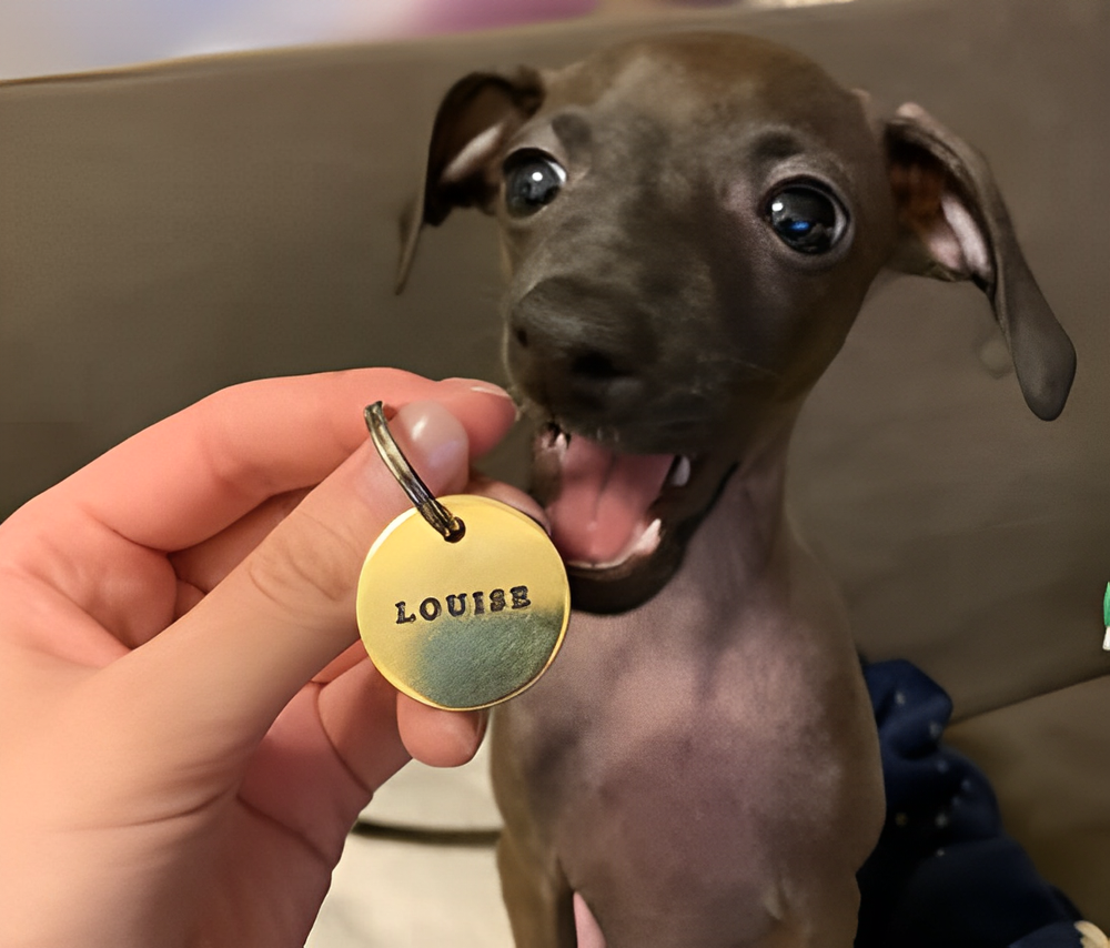 DEEP ENGRAVED CUSTOM PERSONALIZED BRASS PET TAG ID DOG CAT NAME TAGS