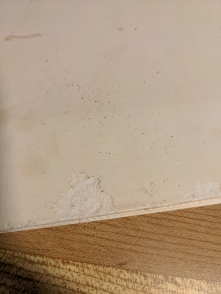 Dark Sun Freedom Campaign Dungeon Master's Book AD&D