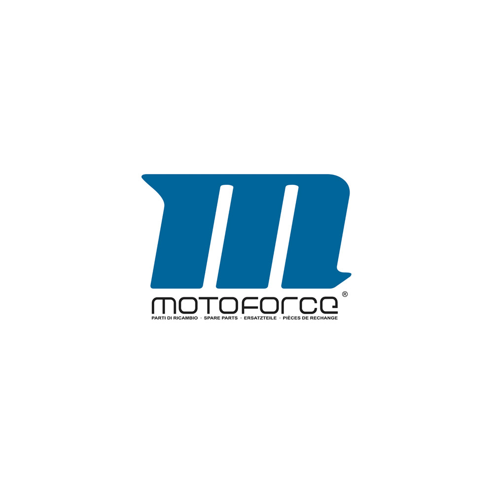 Motoforce 12V 0.5A Charger