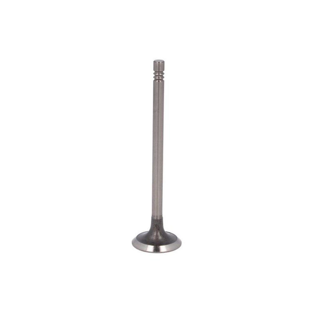 FITS PARADOWSCY PREN102 INTAKE VALVE OE REPLACEMENT